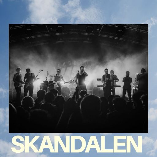 Foto van artiest De Skandalen